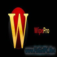 Wipe Professional -Version 2024.10 (x64) [Latest Software 2024]